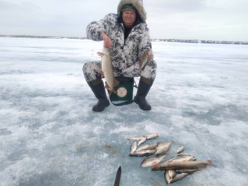 Фотоотчет по рыбе: Щука, Окунь. Место рыбалки: Северо-Казахстанская область