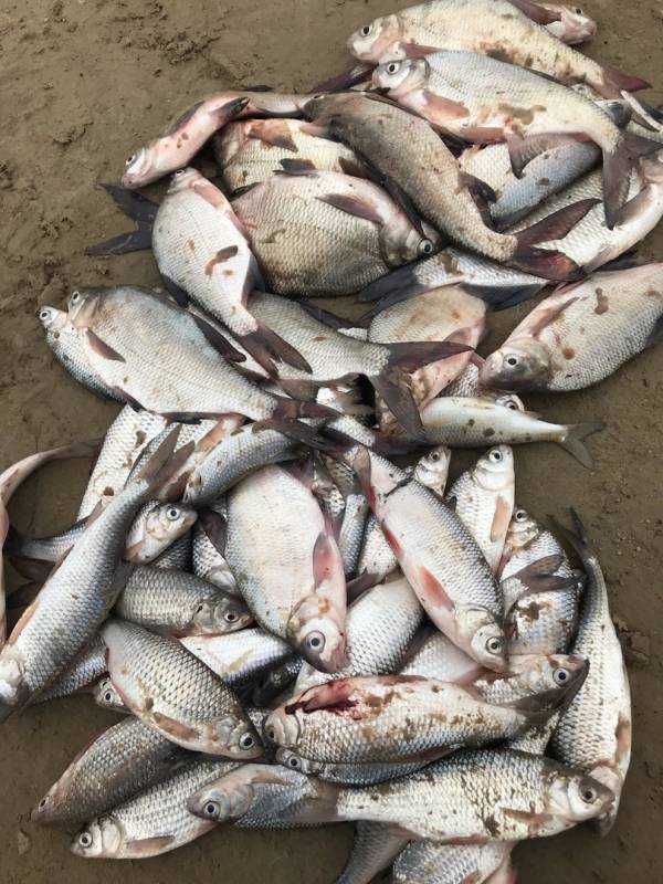 Фотоотчет с рыбалки. Место: Атырауская область