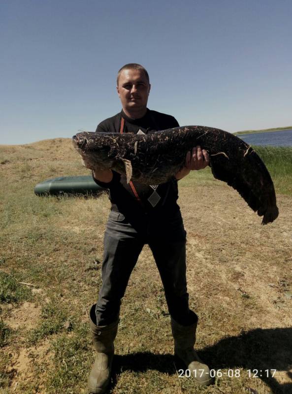 Фотоотчет по рыбе: Сом. Место рыбалки: Западно-Казахстанская область