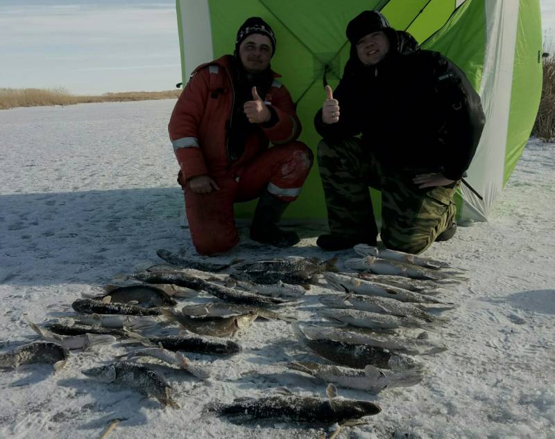 Рыболовный отчет по рыбе: Щука
