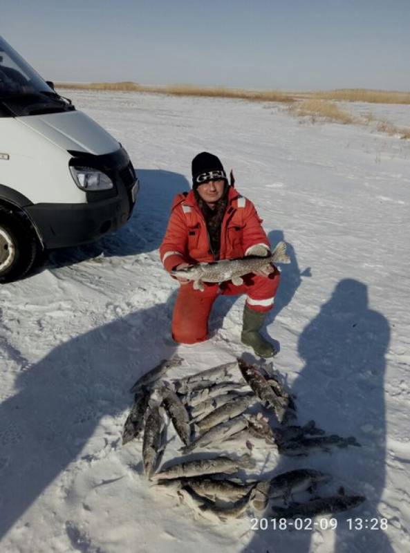 Рыболовный отчет по рыбе: Щука