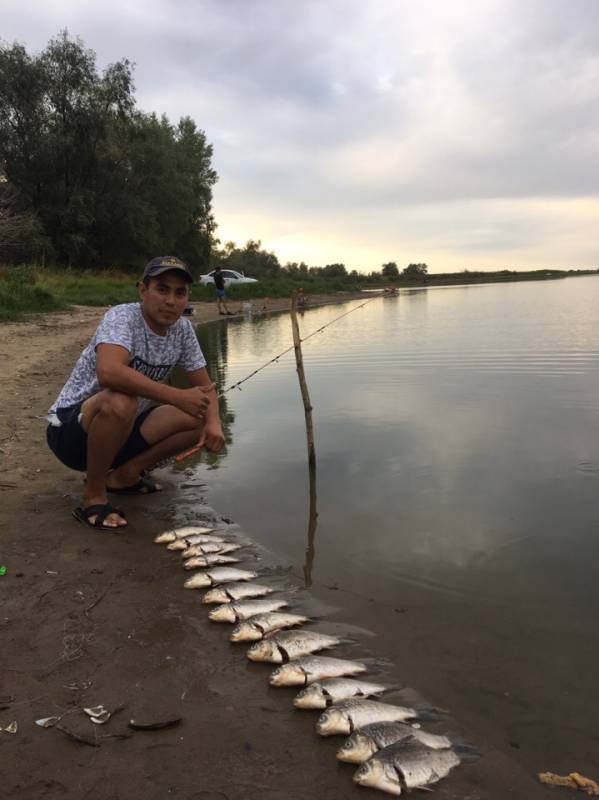 Фотоотчет по рыбе: Карась. Место рыбалки: Западно-Казахстанская область