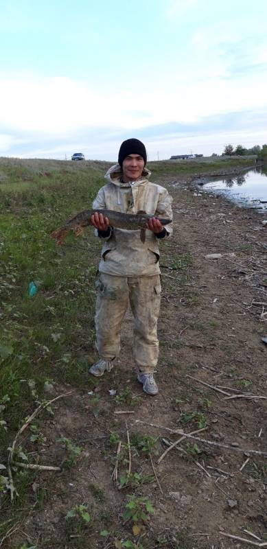 Фотоотчет по рыбе: Щука. Место рыбалки: Западно-Казахстанская область
